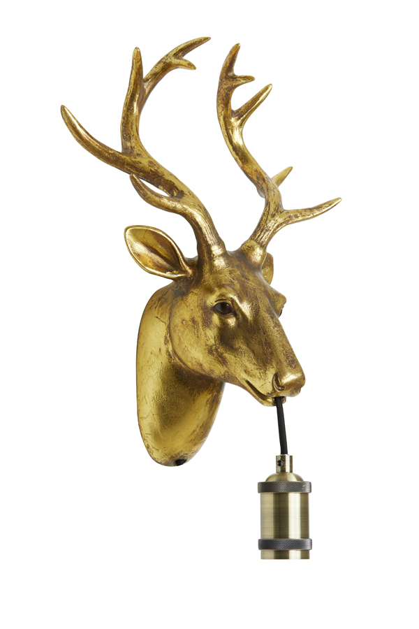 avtvwtyhitbidrnibxd2