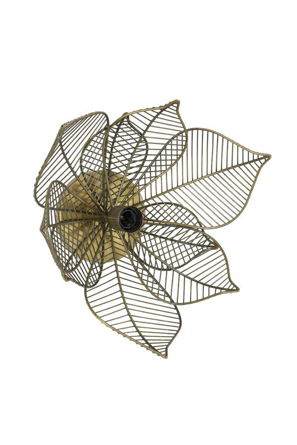 ayq2mkaj56ung6lzxark