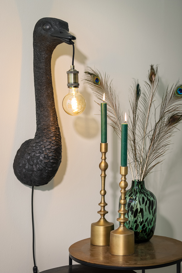 c8ebup9pvlbcgttykfhq