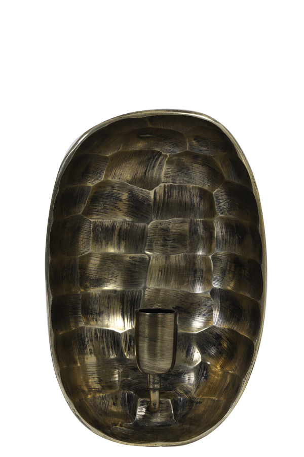 chm055tsnctkfcj5fgo7