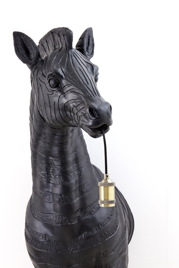 cvpmrl831p9d4uailet8