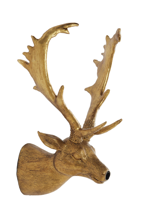 fdxbdgxi79vgazxl4cbf