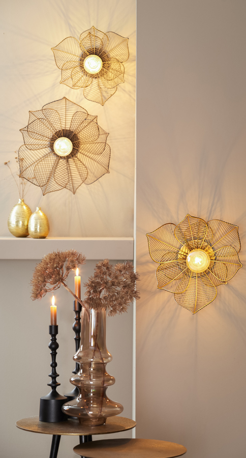 iyb45i0vvrmz5nkvqtx1