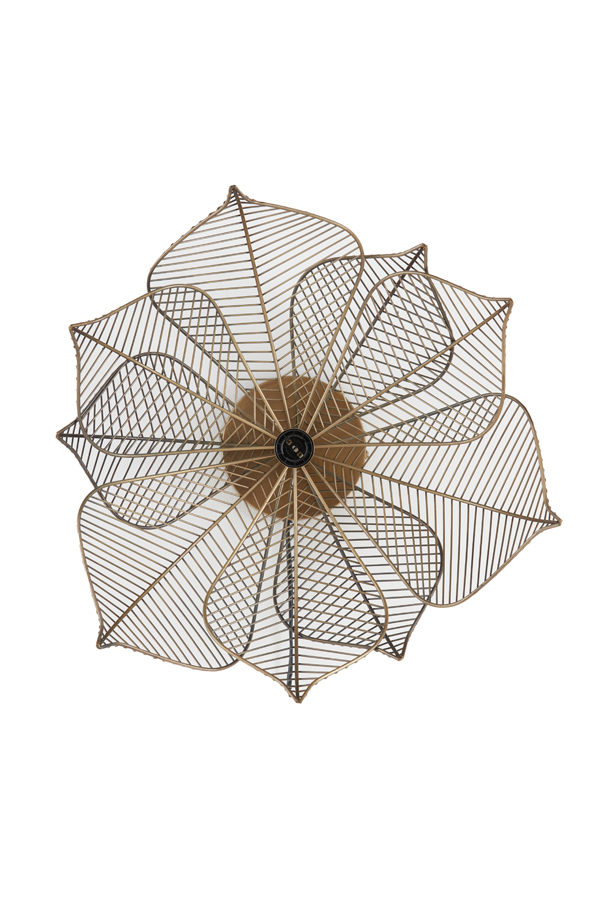 jvpaqjjiohumfr7xhjlt