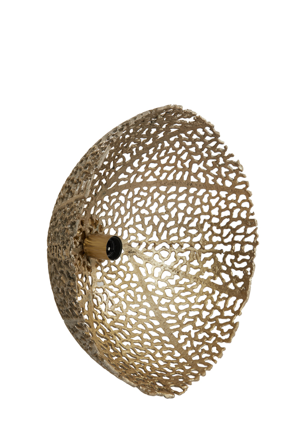 sdzxztbncks6wt1smzsx