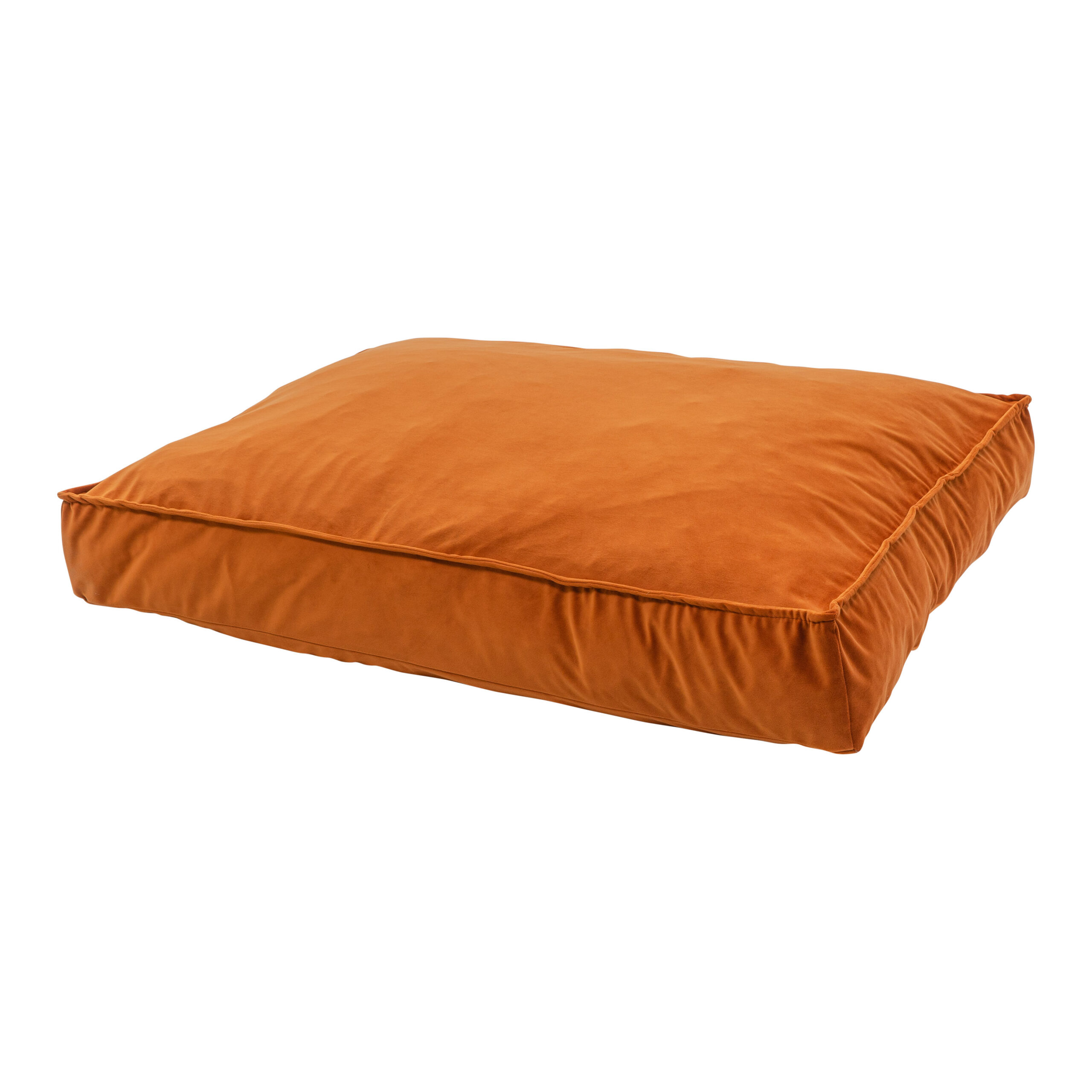 55cf-04eb-47e0-9424-41c35d490054